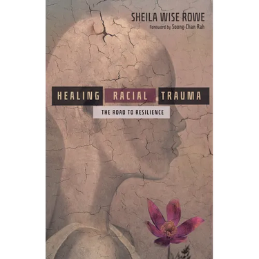 Healing Racial Trauma: The Road to Resilience