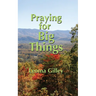 Praying for Big Things: Using God's Word to guide in Praying for the BIG issues in our world