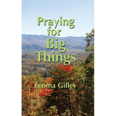 Praying for Big Things: Using God's Word to guide in Praying for the BIG issues in our world
