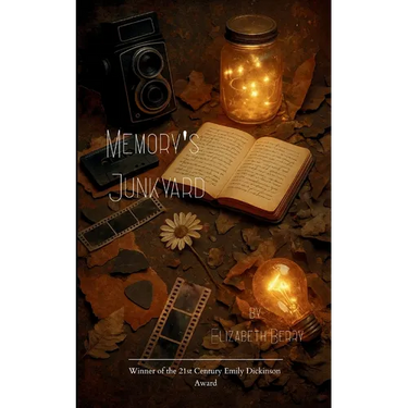 Memory's Junkyard The Light We Kept