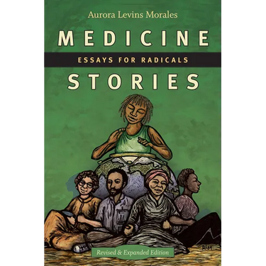Medicine Stories: Essays for Radicals
