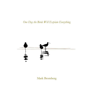 One Day the Birds Will Explain Everything