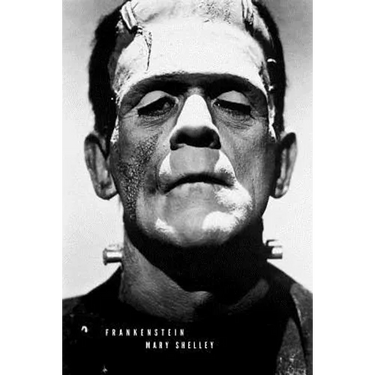 Frankenstein: (Special Edition)