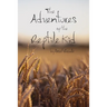 The Adventures of the Reptile Kid