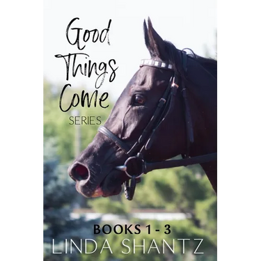 The Good Things Come Series: Books 1-3