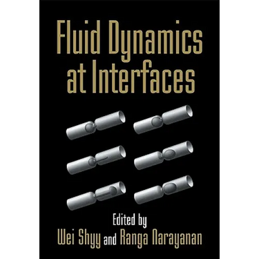 Fluid Dynamics at Interfaces