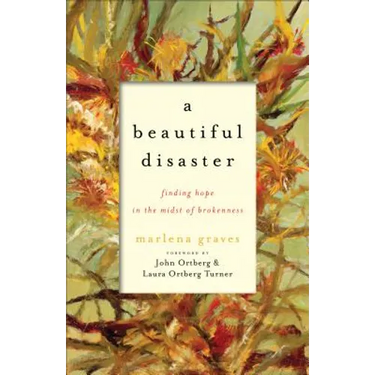 A Beautiful Disaster: Finding Hope in the Midst of Brokenness