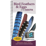 Bird Feathers & Eggs of the South: Identify 40 Species of Common Backyard Birds