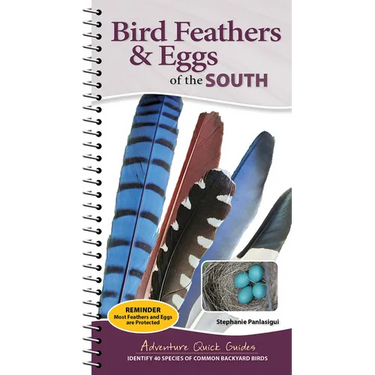 Bird Feathers & Eggs of the South: Identify 40 Species of Common Backyard Birds