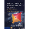 String Theory and Particle Physics