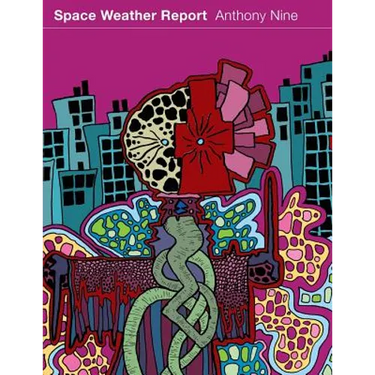 Space Weather Report
