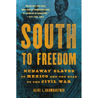 South to Freedom: Runaway Slaves to Mexico and the Road to the Civil War