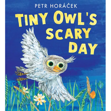 Tiny Owl's Scary Day