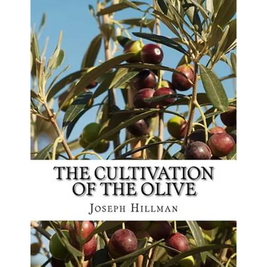 The Cultivation of the Olive: A Short Treatise With Special Reference to Fertilization