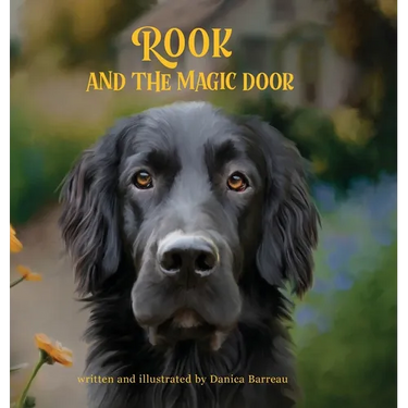 Rook and the Magic Door: Written and Illustrated by Danica Barreau