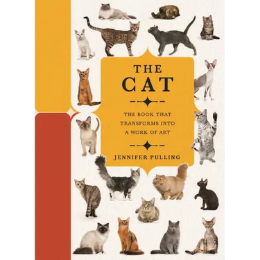 Paperscapes: The Cat: A Book That Transforms Into a Work of Art