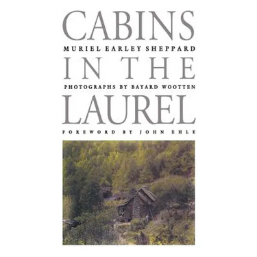 Cabins in the Laurel