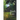 Dark Fire