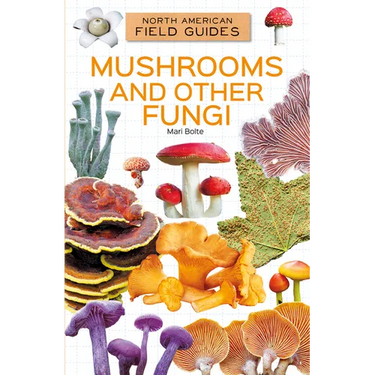 Mushrooms and Other Fungi
