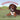 Seward's Farm