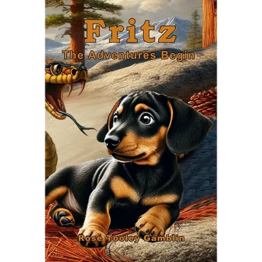 Fritz: The Adventures Begin
