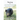Saving the Guinea Hogs: The Recovery of an American Homestead Breed