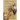 Who Let the Squirrels Out?: The 9Th Book in the Squirrel Chronicle Series
