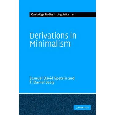 Derivations in Minimalism