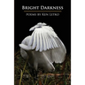Bright Darkness