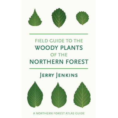 Field Guide to the Woody Plants of the Northern Forest