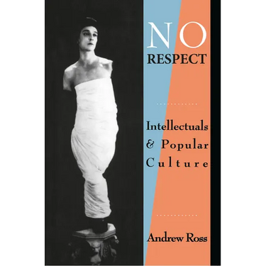 No Respect: Intellectuals and Popular Culture