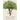 The Things We Did: Memories in Rhyme