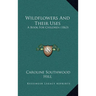 Wildflowers And Their Uses: A Book For Children (1863)
