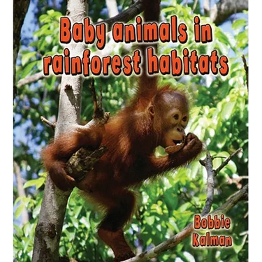 Baby Animals in Rainforest Habitats