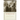 Southern Selves: From Mark Twain and Eudora Welty to Maya Angelou and Kaye Gibbons a Collection of Autobiographical Writing
