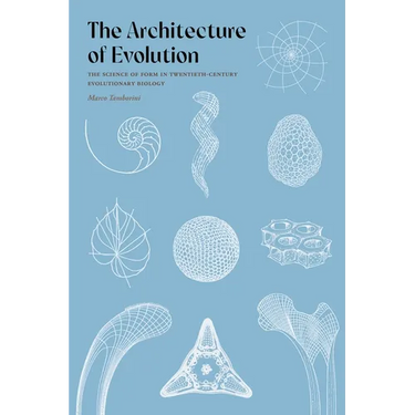 The Architecture of Evolution: The Science of Form in Twentieth-Century Evolutionary Biology