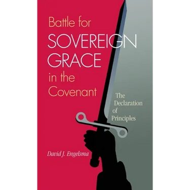 Battle for Sovereign Grace in the Covenant: The Declaration of Principles