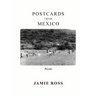 Postcards from Mexico: Poems