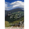The Brilliant Beyond