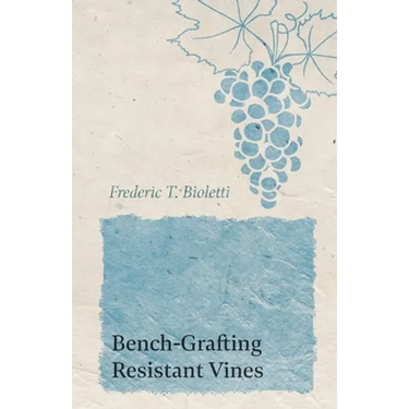 Grape Vinegar