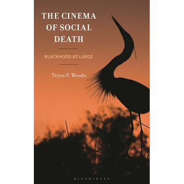 The Cinema of Social Death: Blackhood At-Large
