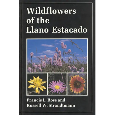 Wildflowers of the Llano Estacado