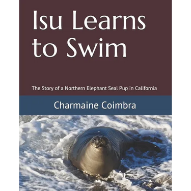 Isu Learns to Swim: The Story of a Northern Elephant Seal Pup in California