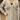 8d5af1e6-1e90-44d5-8b0d-0090e8a6940a-Max