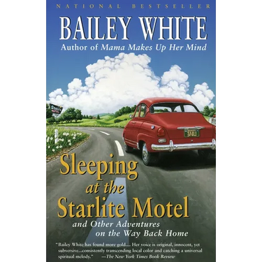 Sleeping at the Starlite Motel: and Other Adventures on the Way Back Home