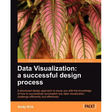Data Visualization: A Successful Design Process