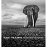 Walk the Earth: Photographs of Africa's Last Great Elephants