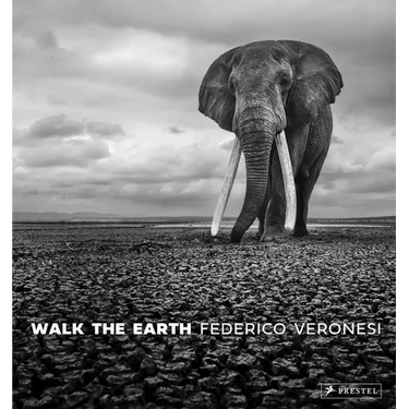 Walk the Earth: Photographs of Africa's Last Great Elephants