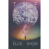 The 13th Planet