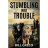 Stumbling into Trouble